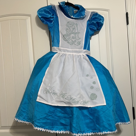 Disney Alice in Wonderland 4 piece costume Halloween Dress Apron Bow Wig Small - Picture 2 of 8